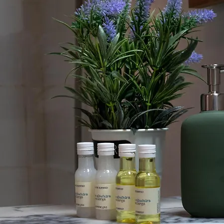 公寓 The Concierge - Pool Choromar 阿尔布费拉